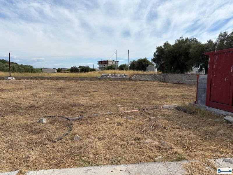 PHOTO-2025-08-20-18-38-07 (7).jpg